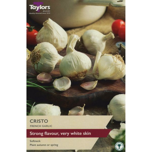 Garlic (French) Cristo - Pack of 2